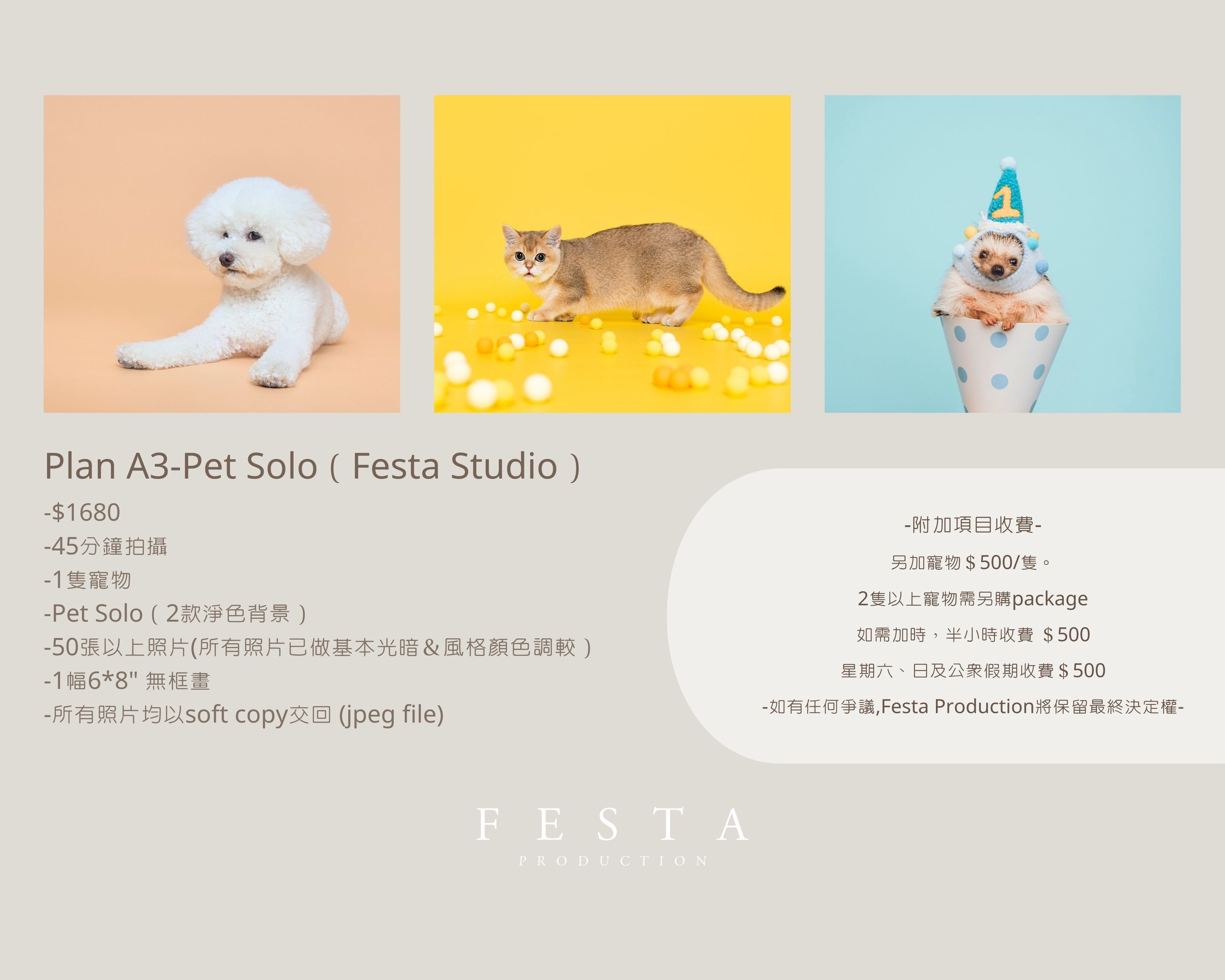 Plan A3-Pet Solo ( Festa Studio )