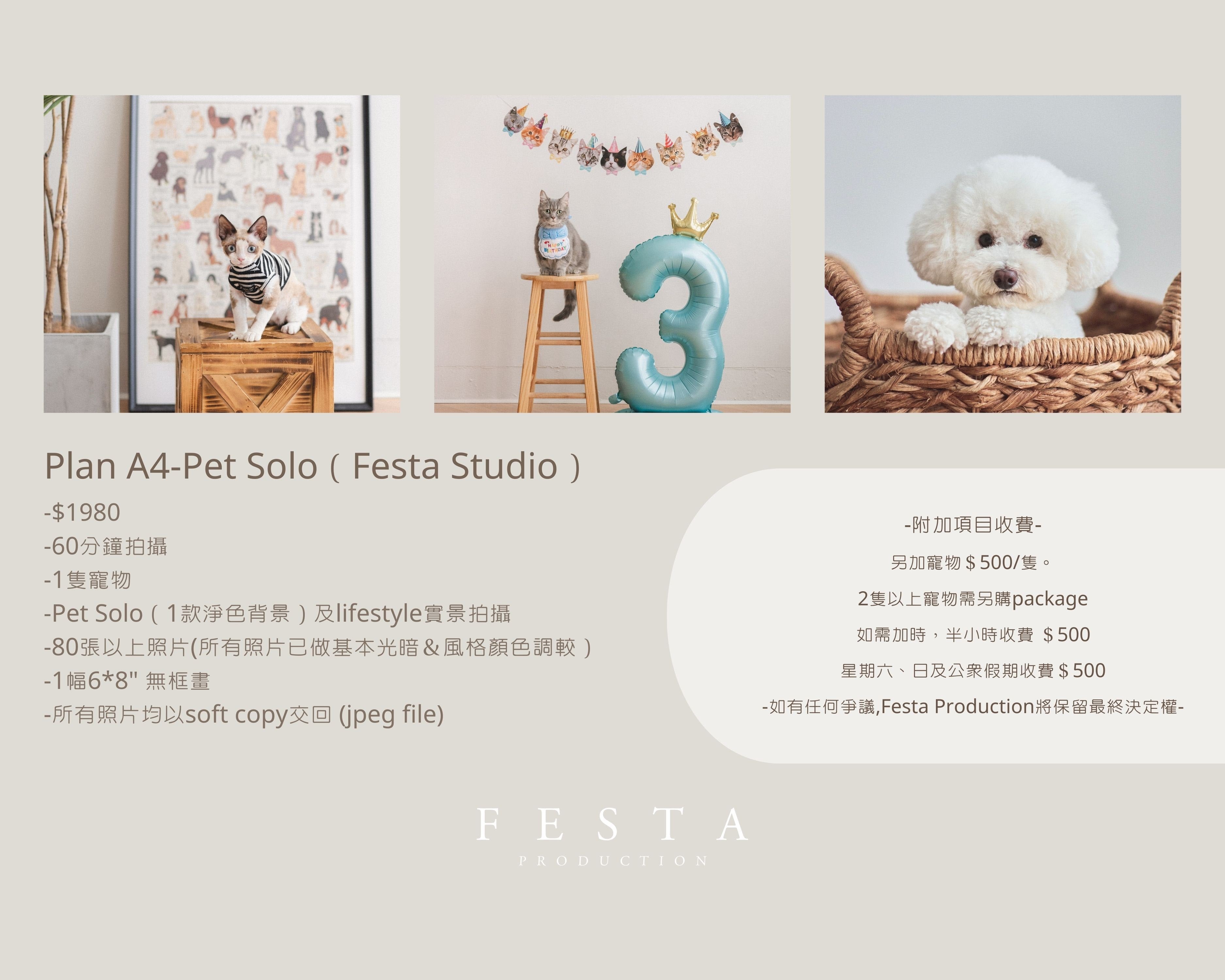 Plan A4-Pet Solo ( Festa Studio )