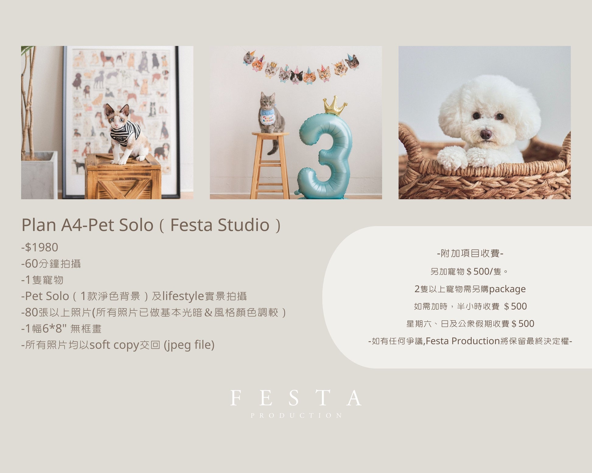 Plan A4-Pet Solo ( Festa Studio )